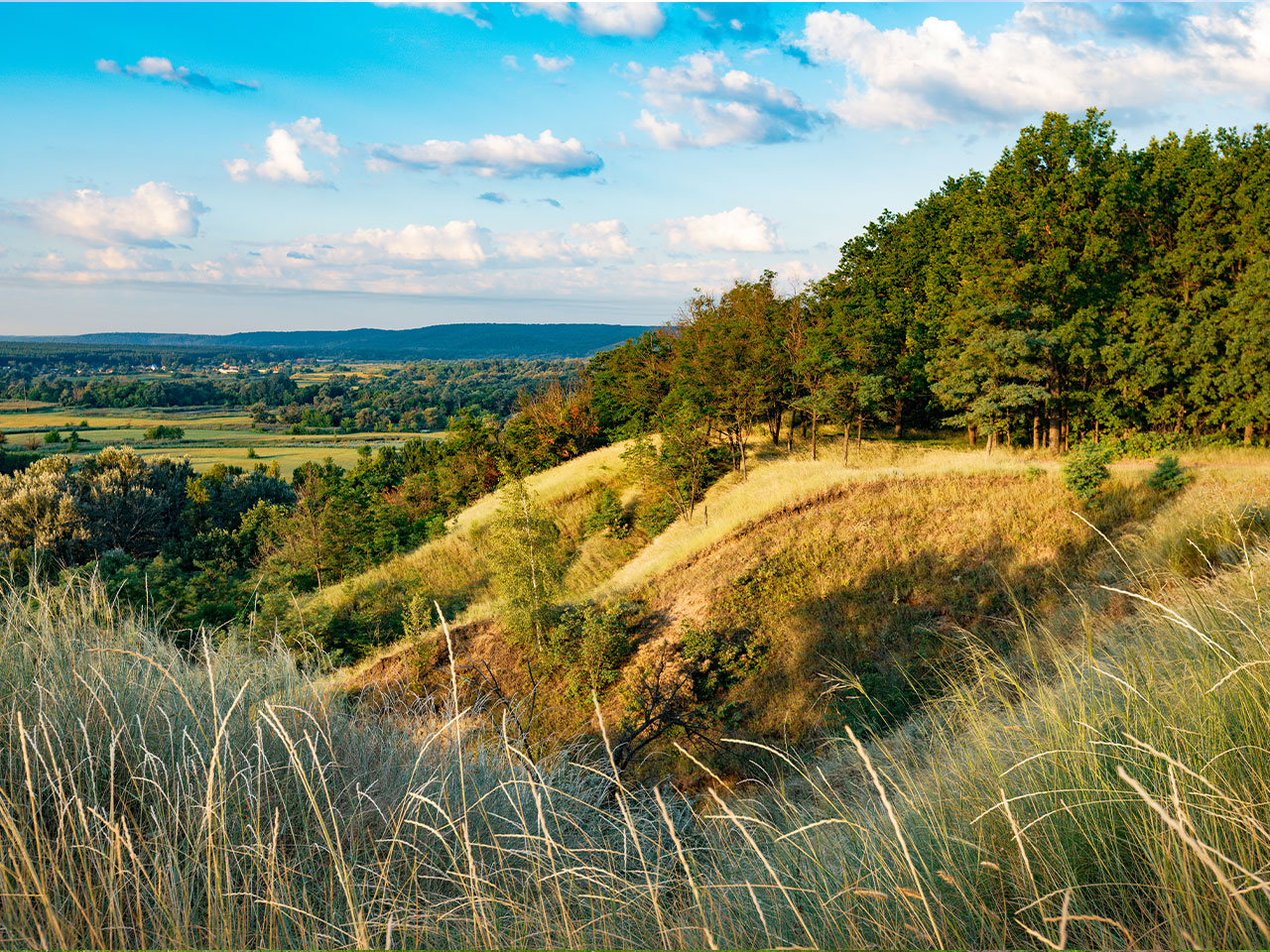 Appalachian countryside and mineral rights property