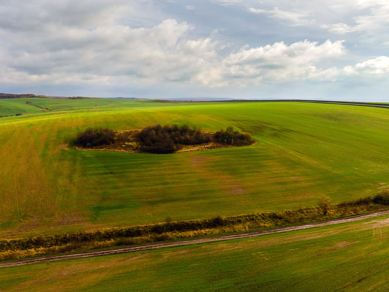 Appalachian mineral rights landscape