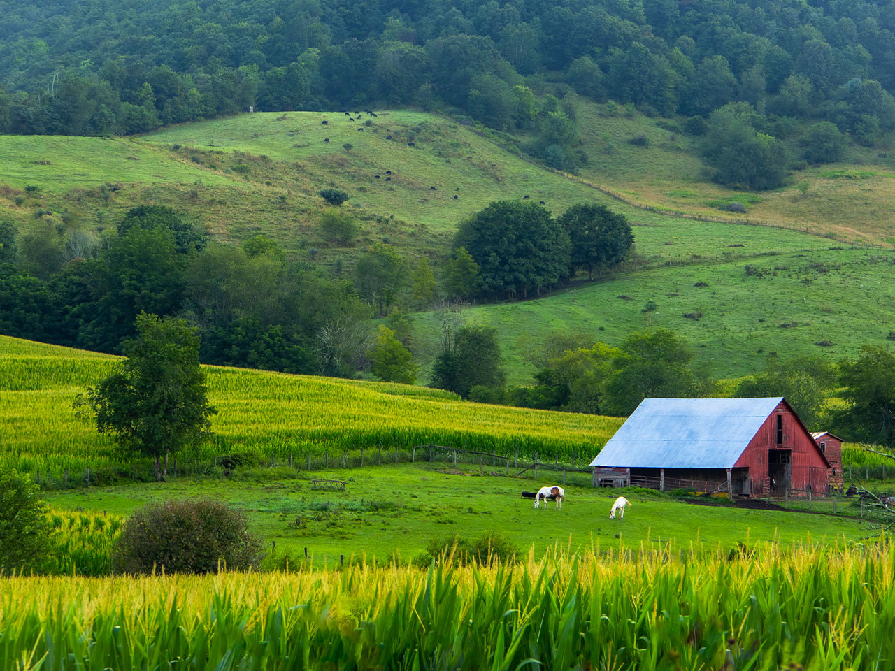 Rural property in the Appalachian region